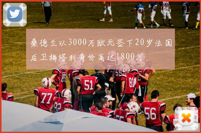 桑德兰以3000万欧元签下20岁法国后卫梅塔利身价高达1800万